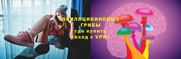 ГАЛЛЮЦИНОГЕННЫЕ ГРИБЫ Протвино