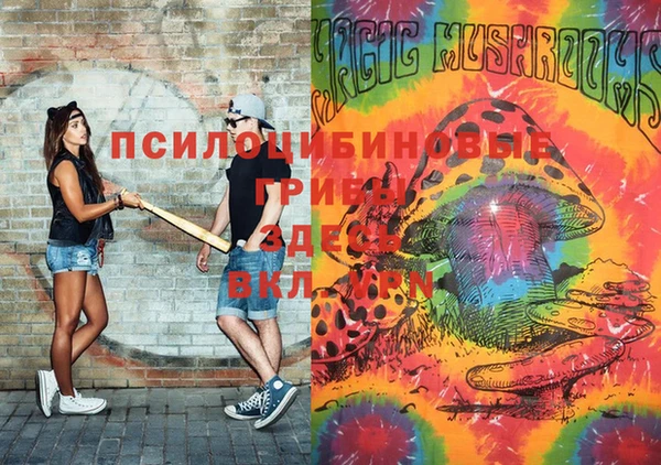 прущая мука Пролетарск