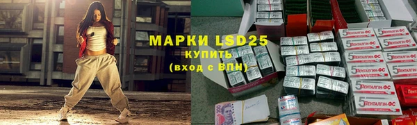 ГАЛЛЮЦИНОГЕННЫЕ ГРИБЫ Протвино