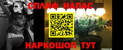 кокс Гай