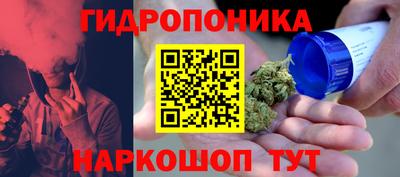 a pvp Гатчина