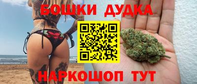 a pvp Гатчина