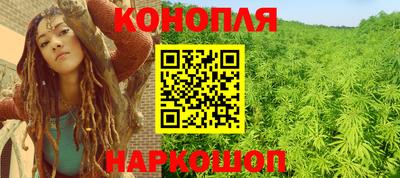 a pvp Гатчина