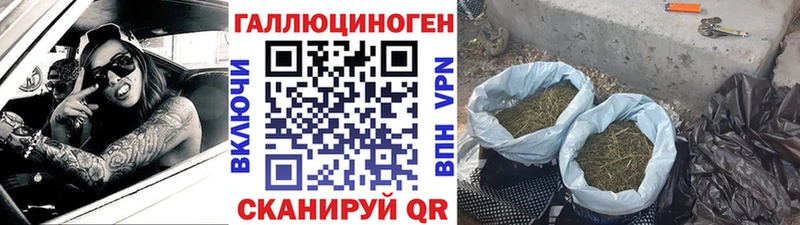 мега ССЫЛКА Славгород Псилоцибиновые грибы мухоморы