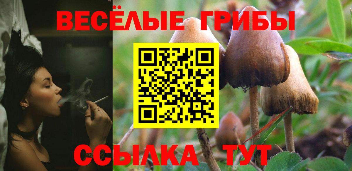 Псилоцибиновые грибы Psilocybe  Галлюциногенные грибы GOLDEN TEACHER  Вход с VPN  Славгород 