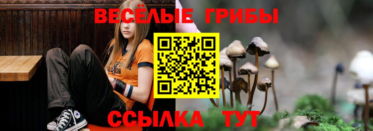 Галлюциногенные грибы Psilocybe  Славгород  Галлюциногенные грибы MAGIC MUSHROOMS 